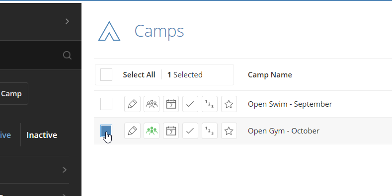camp_evaluation_form00.png